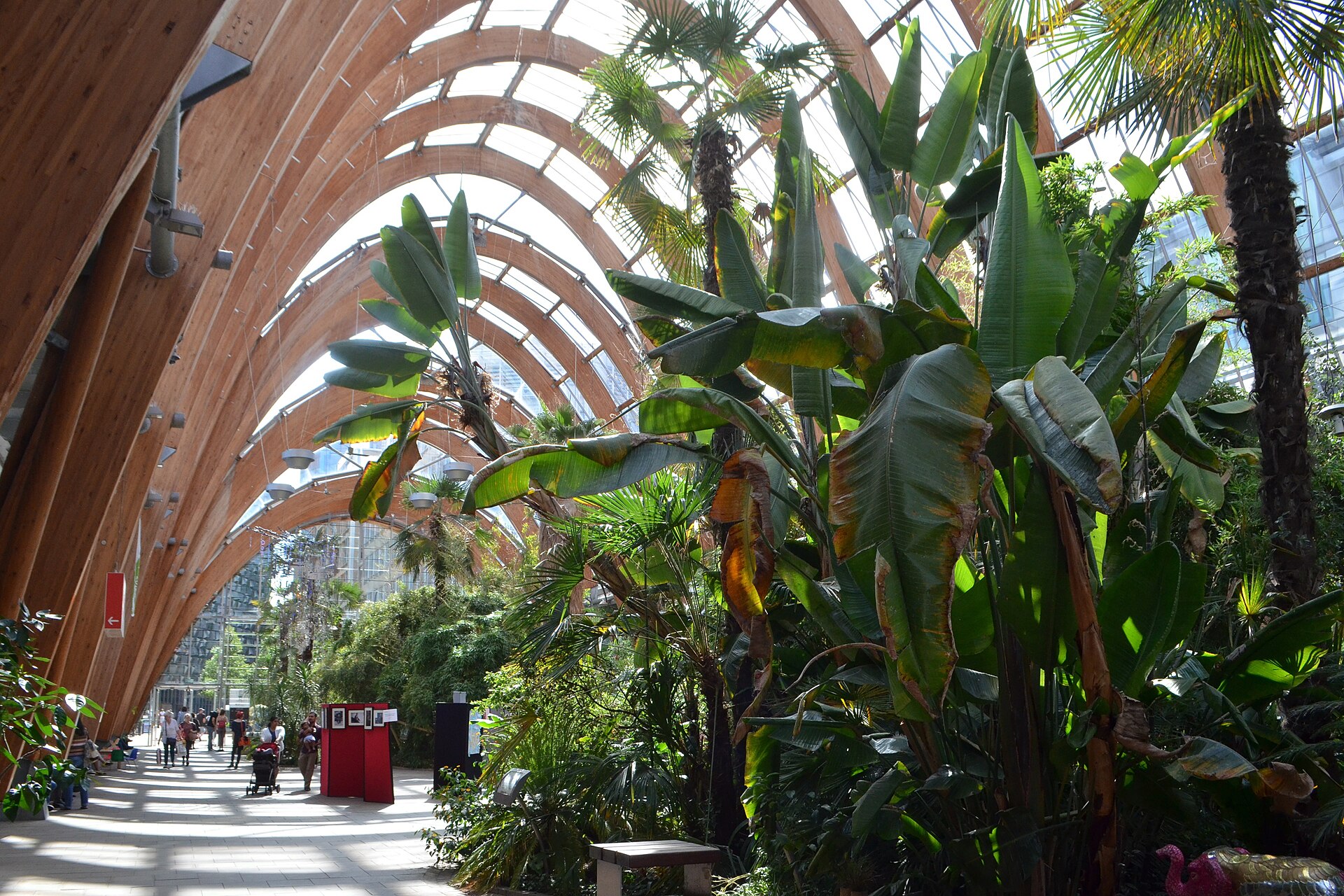 Sheffield Winter Gardens - geograph.org.uk - 5070602